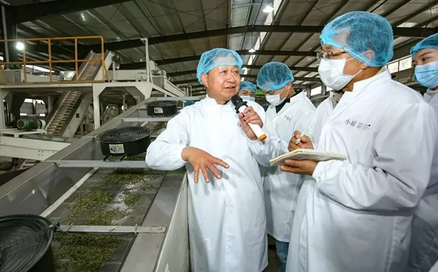 黄山光明茶业有限公司生产设备
