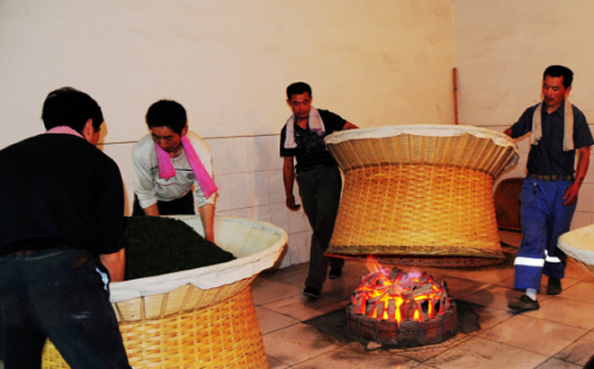 金寨县六安瓜片传统手工艺为乡村振兴增添活力