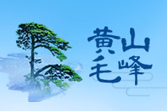 黄山黟县柯村镇三合村茶叶加工厂厂房建设项目中标公示